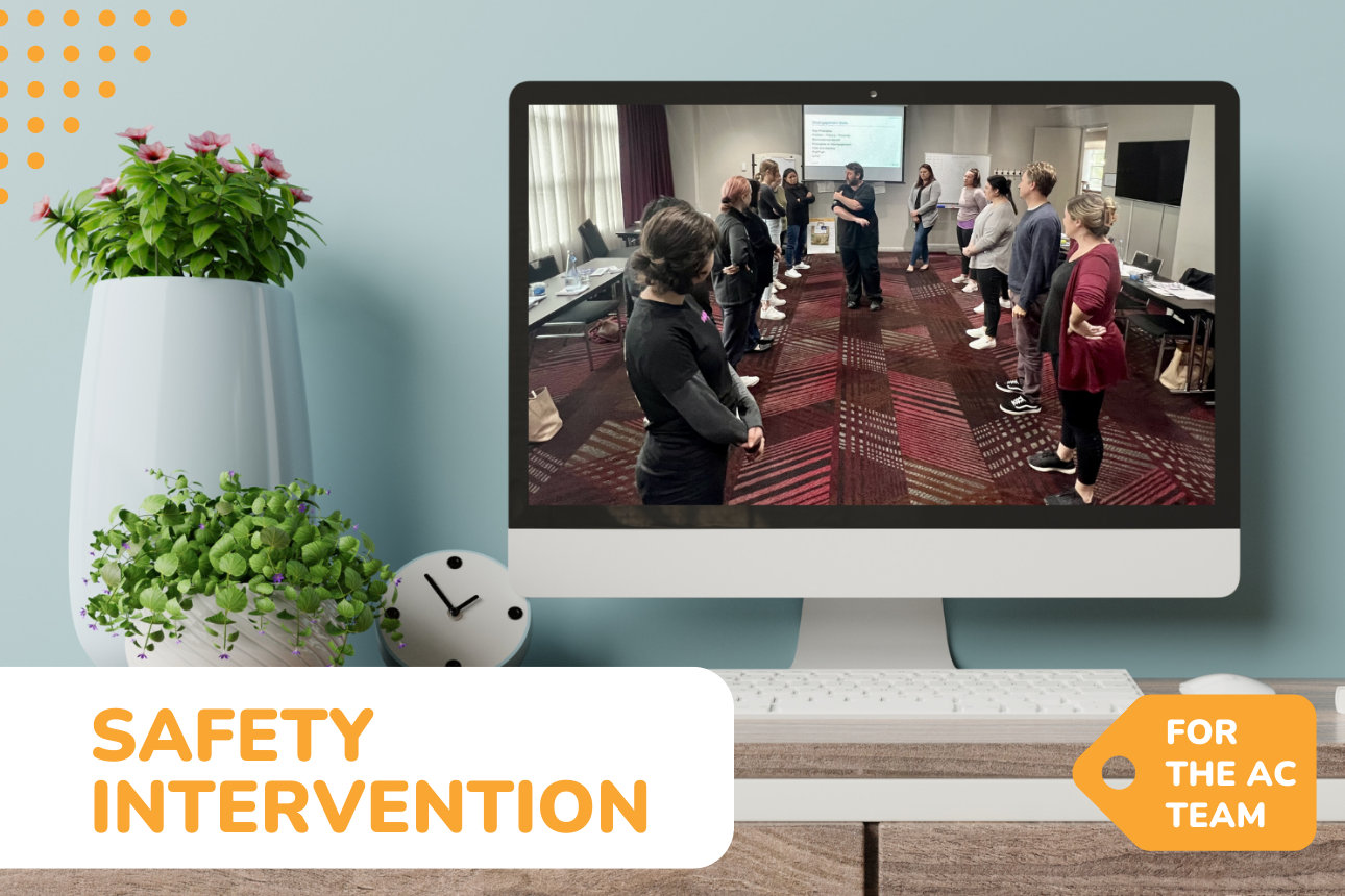 Article  behaviour support training safety intervention mapa (1)
