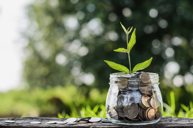 Are you wondering which NDIS funding you can use for psychology? Find out now.