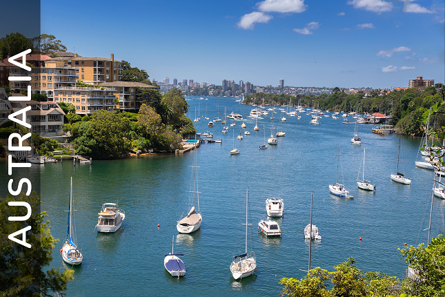 We're creating freedom and social connection through easy access to Positive Behaviour Support in Australia