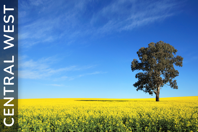 10 things about you: Q&A with our Central West Positive Behaviour Support practitioners