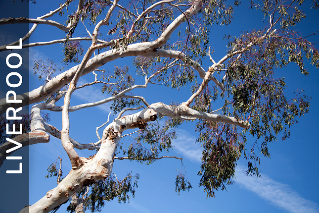 Positive Behaviour Support in Liverpool, NSW: Meet Becki, PBS Practitioner