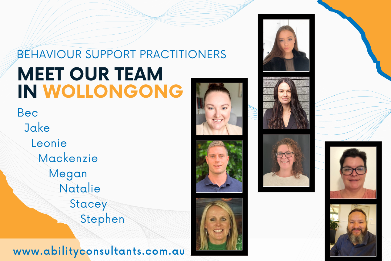 Article positive behaviour support practitioners Wollongong