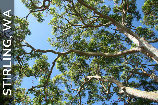 Positive Behaviour Support in Stirling, Western Australia: Meet PBS Practitioner Robyn Earl