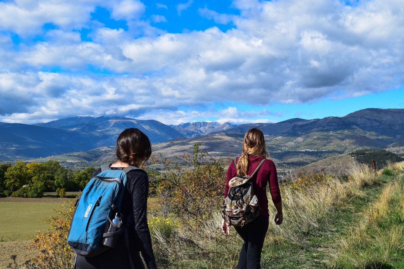 Article positive behaviour support western sydney hiking